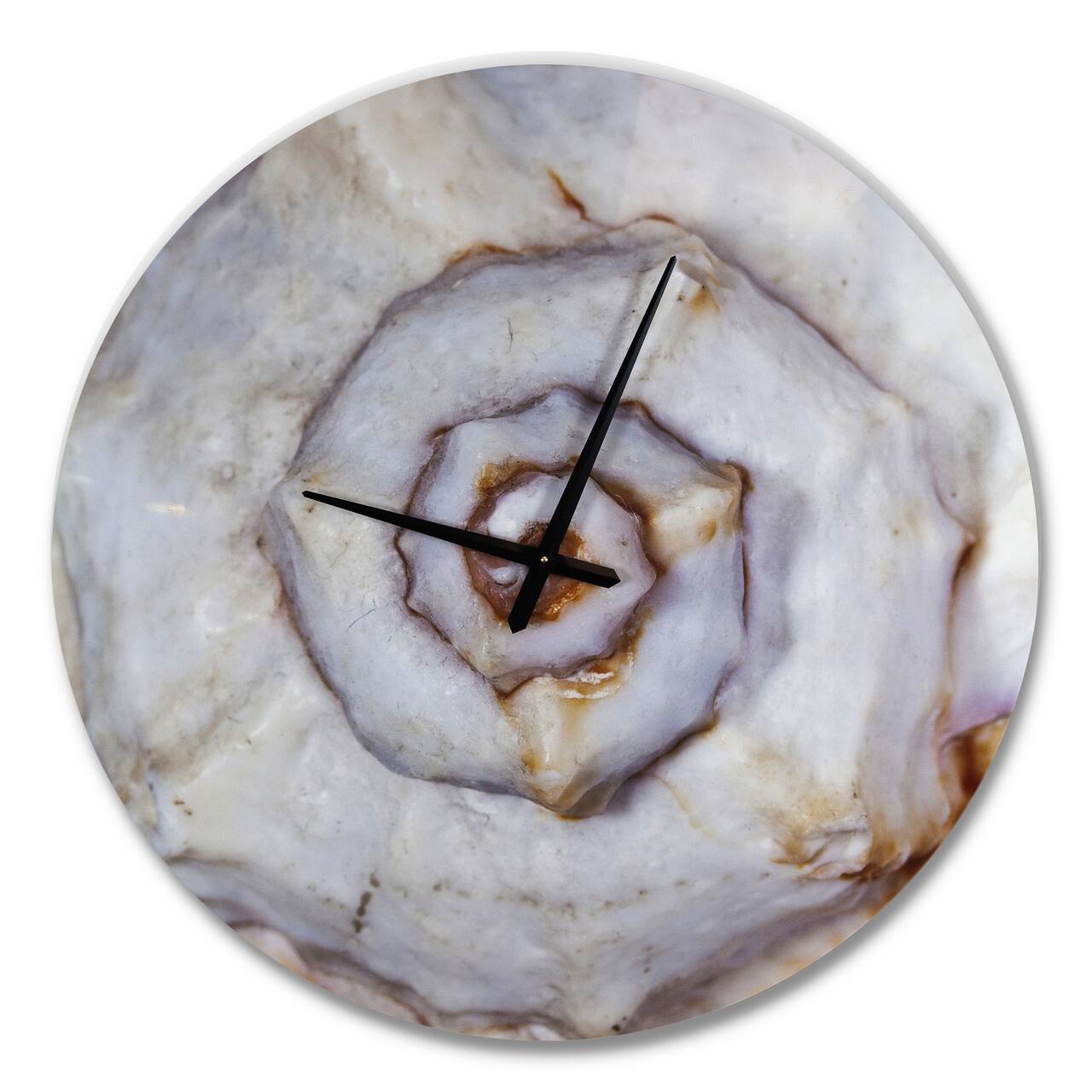Designart Great Skeleton Of Sea Shell Modern Wall Clock